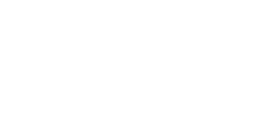 The SEER Group